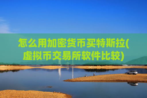 怎么用加密货币买特斯拉(虚拟币交易所软件比较)