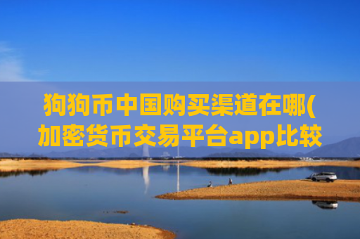 狗狗币中国购买渠道在哪(加密货币交易平台app比较)