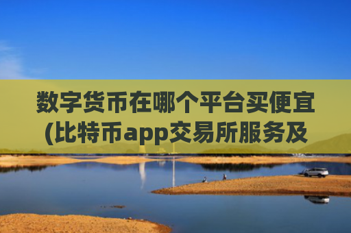 数字货币在哪个平台买便宜(比特币app交易所服务及时有效)