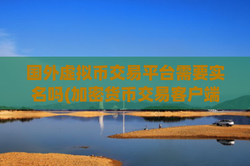 国外虚拟币交易平台需要实名吗(加密货币交易客户端的操作)
