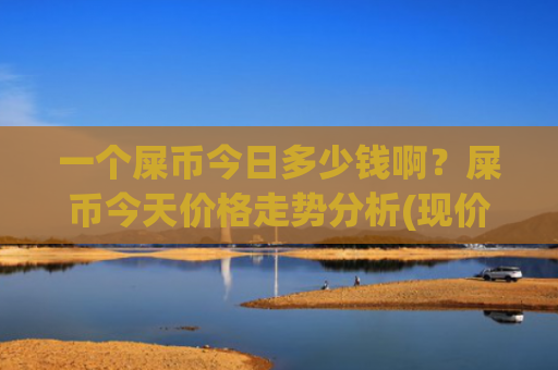 一个屎币今日多少钱啊？屎币今天价格走势分析(现价0.00022677元)