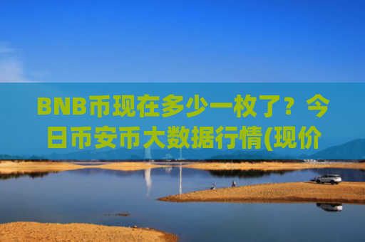 BNB币现在多少一枚了？今日币安币大数据行情(现价5171.1元)