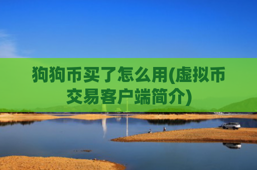 狗狗币买了怎么用(虚拟币交易客户端简介)