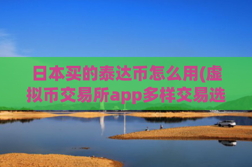 日本买的泰达币怎么用(虚拟币交易所app多样交易选择)
