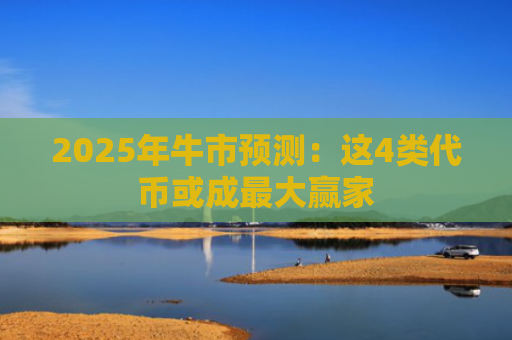 2025年牛市预测：这4类代币或成最大赢家