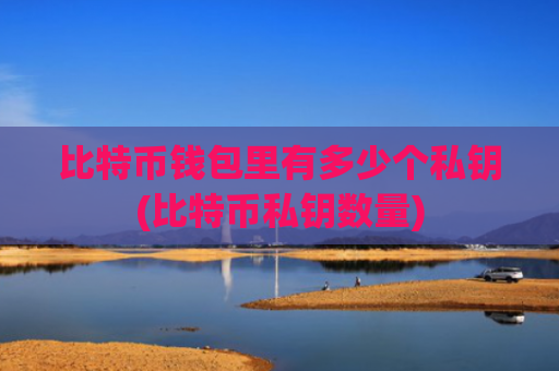 比特币钱包里有多少个私钥(比特币私钥数量)