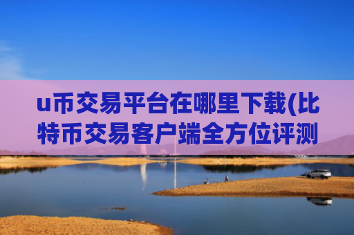 u币交易平台在哪里下载(比特币交易客户端全方位评测)