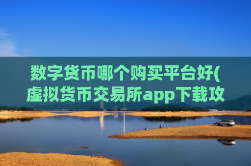 数字货币哪个购买平台好(虚拟货币交易所app下载攻略)