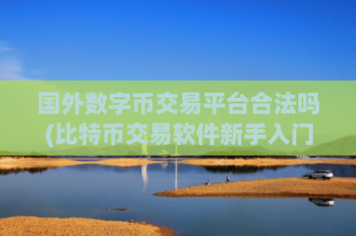 国外数字币交易平台合法吗(比特币交易软件新手入门)