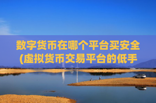 数字货币在哪个平台买安全(虚拟货币交易平台的低手续费)