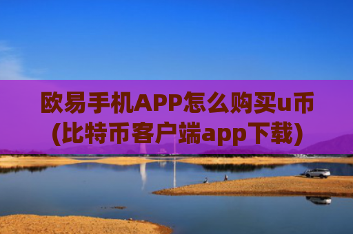欧易手机APP怎么购买u币(比特币客户端app下载)