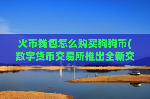 火币钱包怎么购买狗狗币(数字货币交易所推出全新交易平台)
