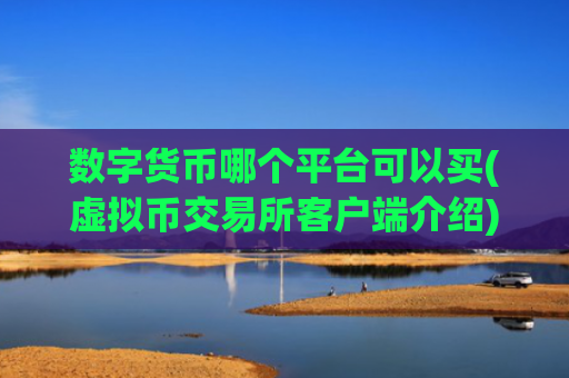 数字货币哪个平台可以买(虚拟币交易所客户端介绍)
