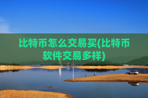 比特币怎么交易买(比特币软件交易多样)
