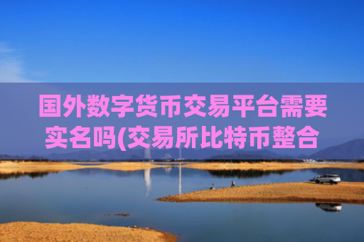 国外数字货币交易平台需要实名吗(交易所比特币整合)