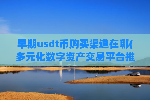 早期usdt币购买渠道在哪(多元化数字资产交易平台推荐)