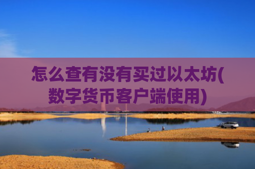 怎么查有没有买过以太坊(数字货币客户端使用)