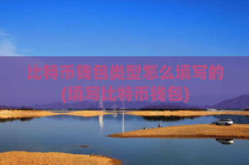 比特币钱包类型怎么填写的(填写比特币钱包)