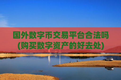 国外数字币交易平台合法吗(购买数字资产的好去处)