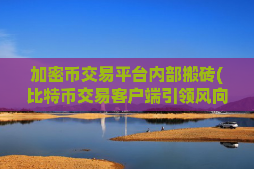 加密币交易平台内部搬砖(比特币交易客户端引领风向)