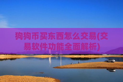 狗狗币买东西怎么交易(交易软件功能全面解析)