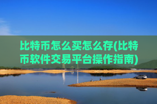 比特币怎么买怎么存(比特币软件交易平台操作指南)
