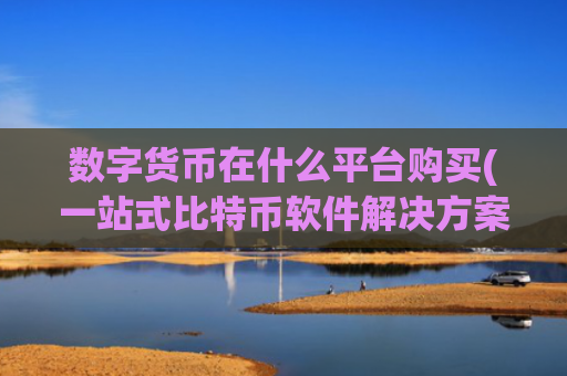 数字货币在什么平台购买(一站式比特币软件解决方案)