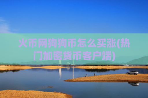 火币网狗狗币怎么买涨(热门加密货币客户端)