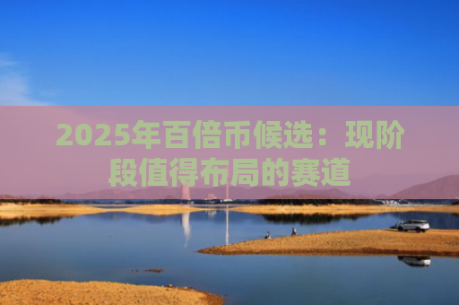 2025年百倍币候选：现阶段值得布局的赛道