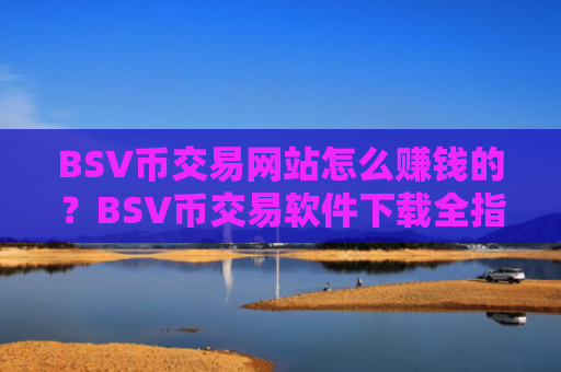 BSV币交易网站怎么赚钱的?BSV币交易软件下载全指南