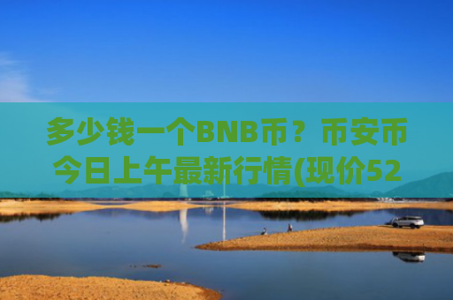 多少钱一个BNB币?币安币今日上午最新行情(现价5292.41元)