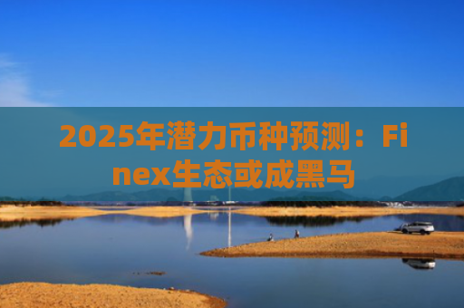 2025年潜力币种预测：Finex生态或成黑马