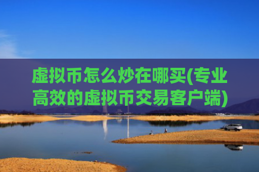 虚拟币怎么炒在哪买(专业高效的虚拟币交易客户端)