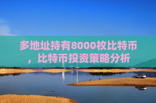 多地址持有8000枚比特币，比特币投资策略分析