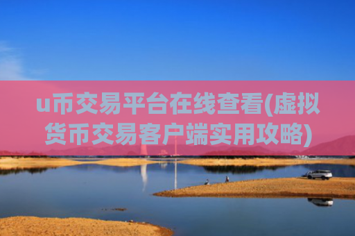 u币交易平台在线查看(虚拟货币交易客户端实用攻略)