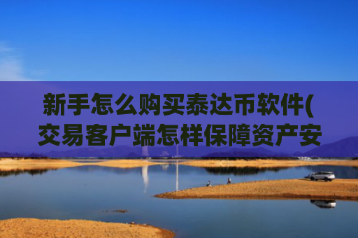 新手怎么购买泰达币软件(交易客户端怎样保障资产安全)