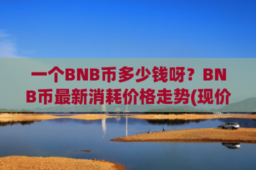 一个BNB币多少钱呀？BNB币最新消耗价格走势(现价5295.1元)