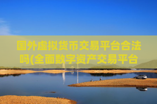 国外虚拟货币交易平台合法吗(全面数字资产交易平台)