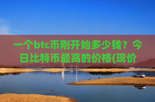 一个btc币刚开始多少钱?今日比特币最高的价格(现价714543.52元)