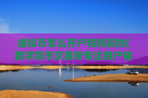 虚拟币怎么开户和购买的(数字货币交易所专注用户体验)