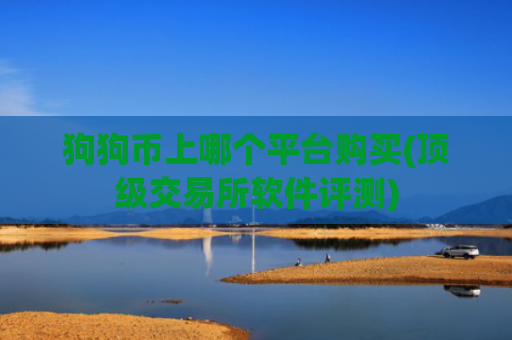 狗狗币上哪个平台购买(顶级交易所软件评测)