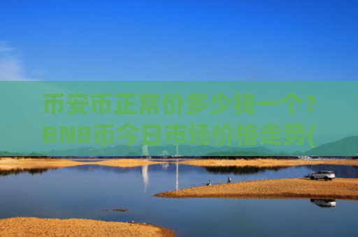 币安币正常价多少钱一个？BNB币今日市场价格走势(现价5248.88元)