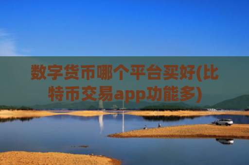 数字货币哪个平台买好(比特币交易app功能多)