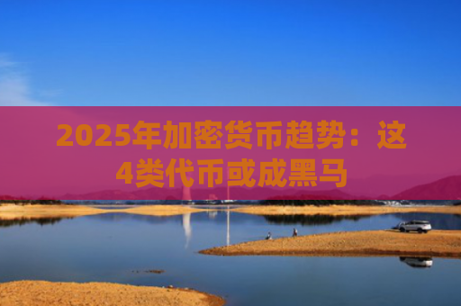 2025年加密货币趋势：这4类代币或成黑马