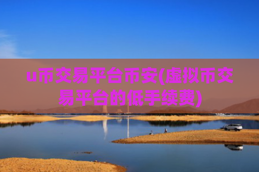 u币交易平台币安(虚拟币交易平台的低手续费)