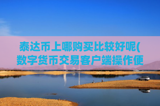 泰达币上哪购买比较好呢(数字货币交易客户端操作便利)
