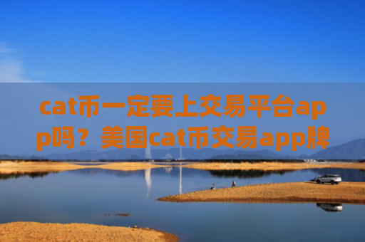 cat币一定要上交易平台app吗?美国cat币交易app牌照