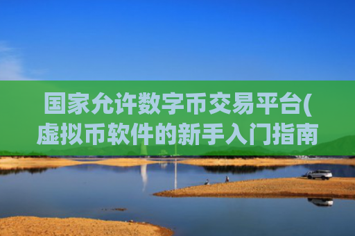 国家允许数字币交易平台(虚拟币软件的新手入门指南)