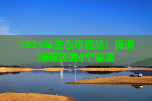 2025年生态币崛起：绿洲网看好的4个赛道