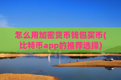怎么用加密货币钱包买币(比特币app的推荐选择)